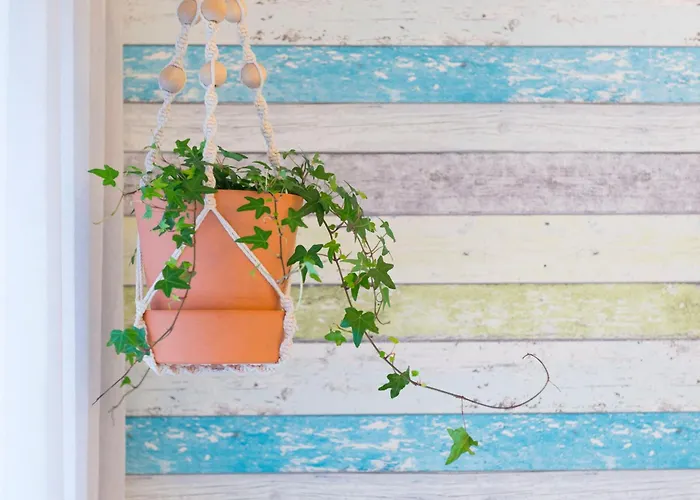 아파트 Sweet 나자레